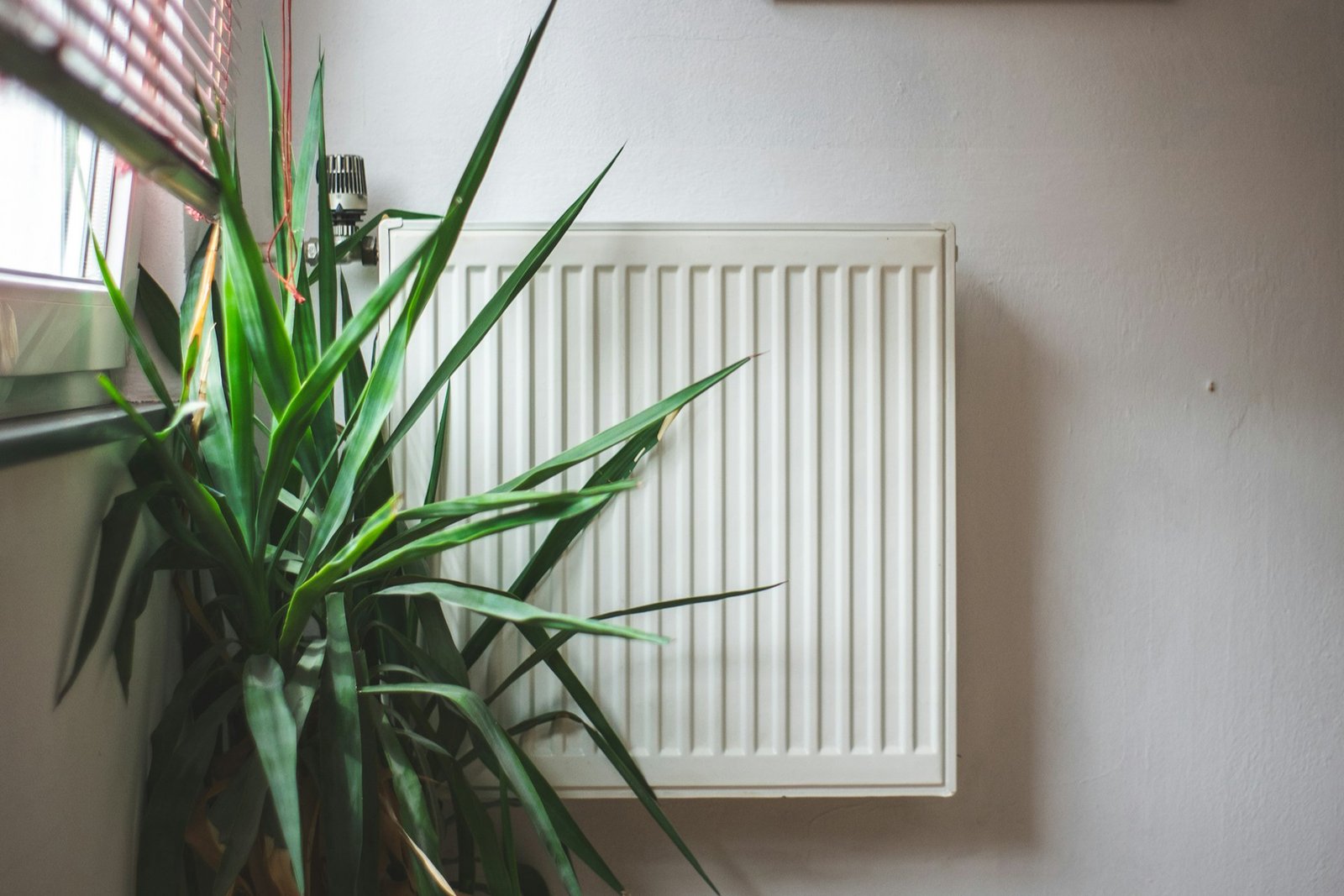 Thermostat an einem Heizkörper